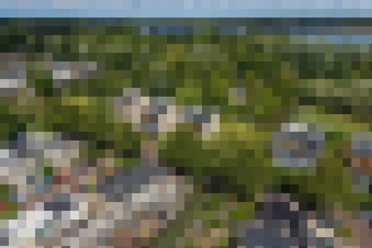 Koningshof 35 Vleuten thumbnail 27