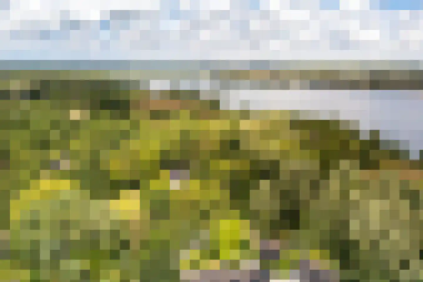 Koningshof 35 Vleuten thumbnail 28