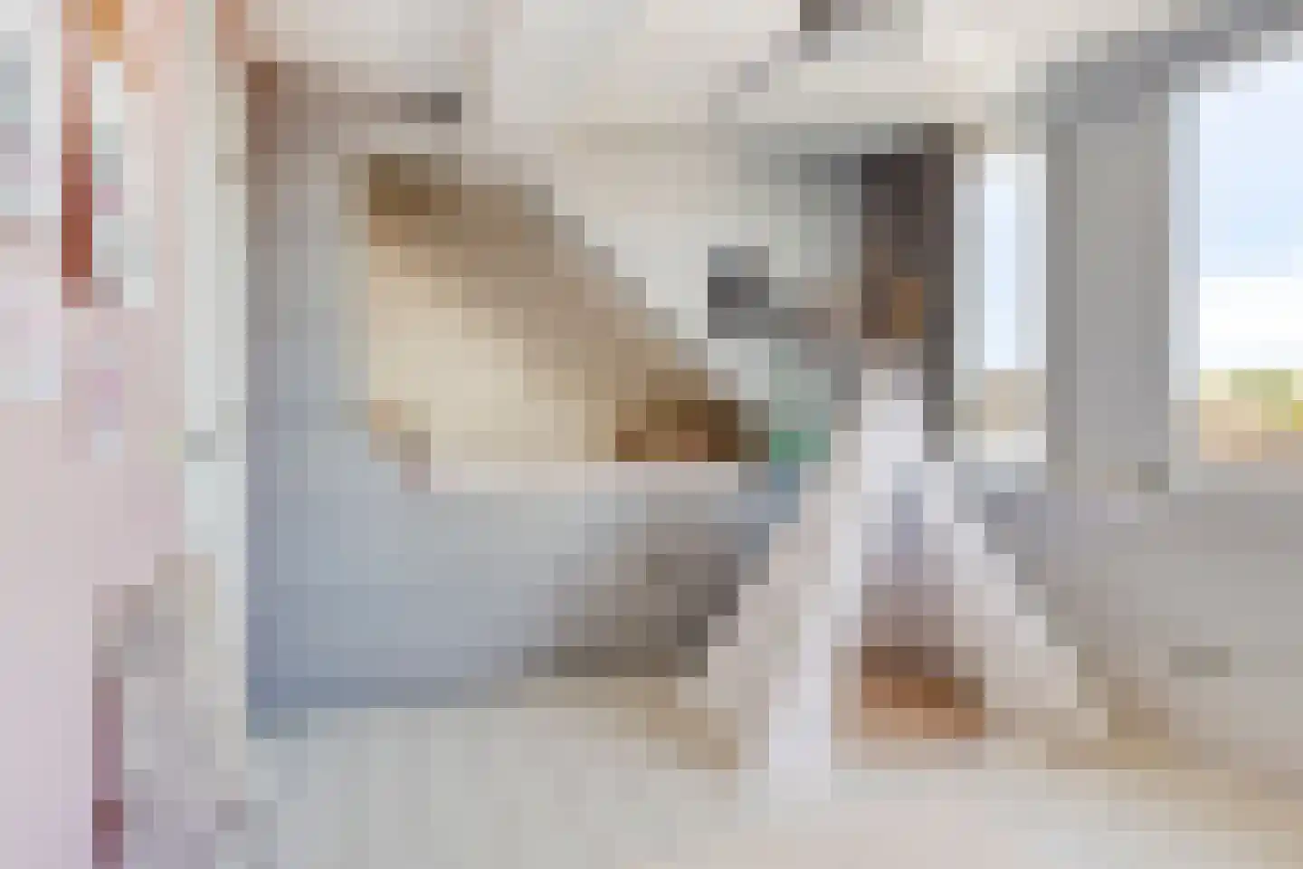 Koningshof 4 Rijpwetering thumbnail 13