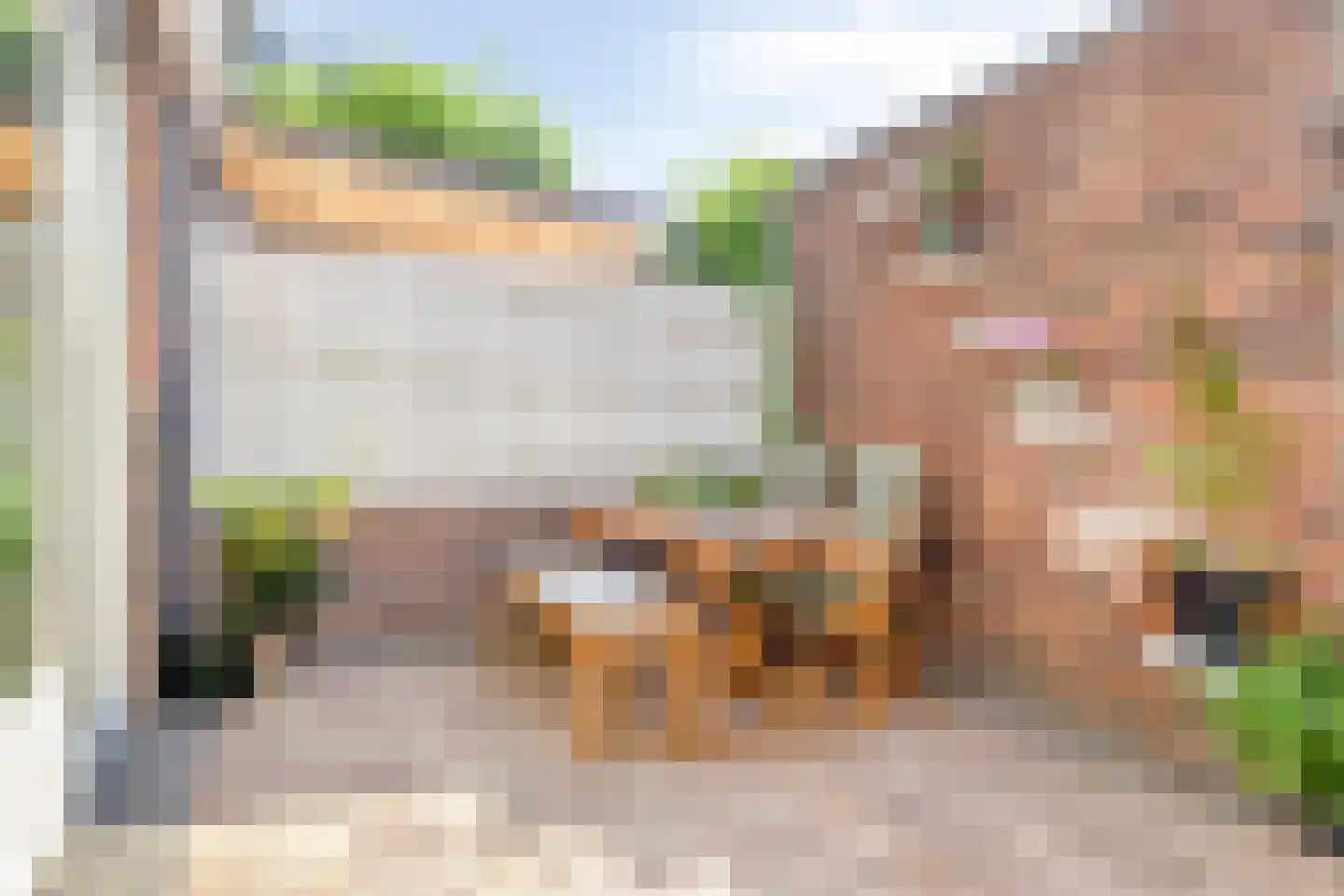 Koningshof 4 Rijpwetering thumbnail 14