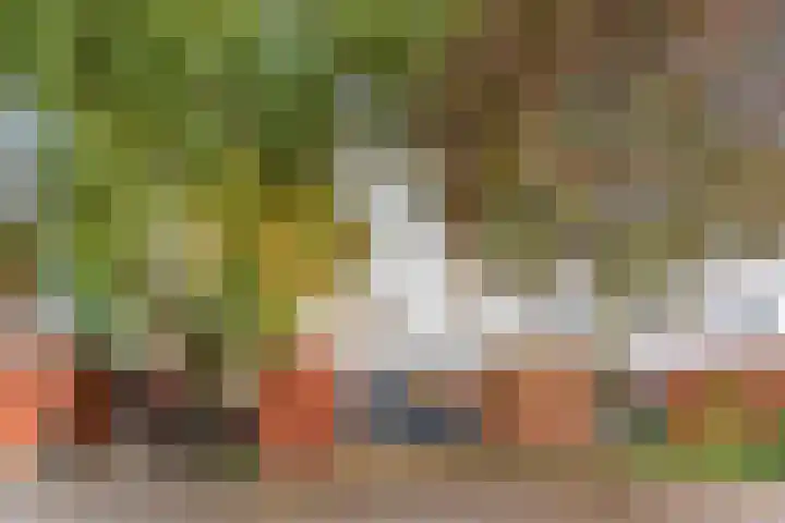Koningshof 4 Vleuten