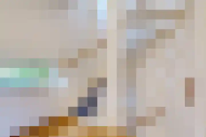 Koningshof 4 Vleuten thumbnail 12