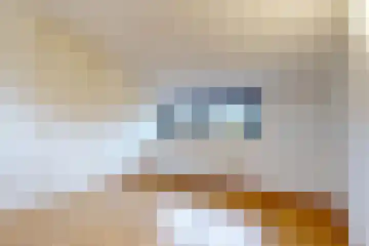 Koningshof 4 Vleuten thumbnail 15