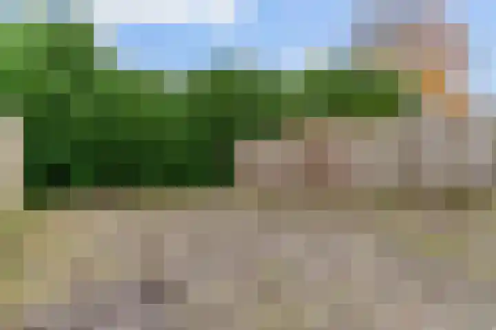 Koningshof 4 Vleuten thumbnail 19