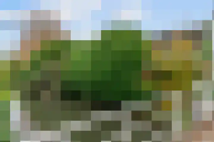 Koningshof 4 Vleuten thumbnail 21