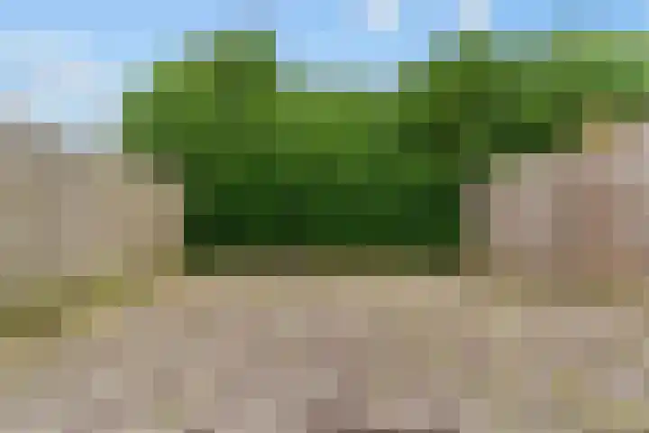 Koningshof 4 Vleuten thumbnail 23