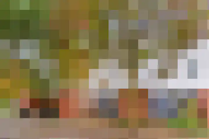 Koningshof 4 Vleuten thumbnail 26