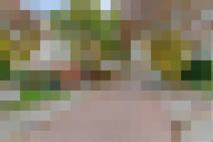 Koningshof 4 Vleuten thumbnail 27