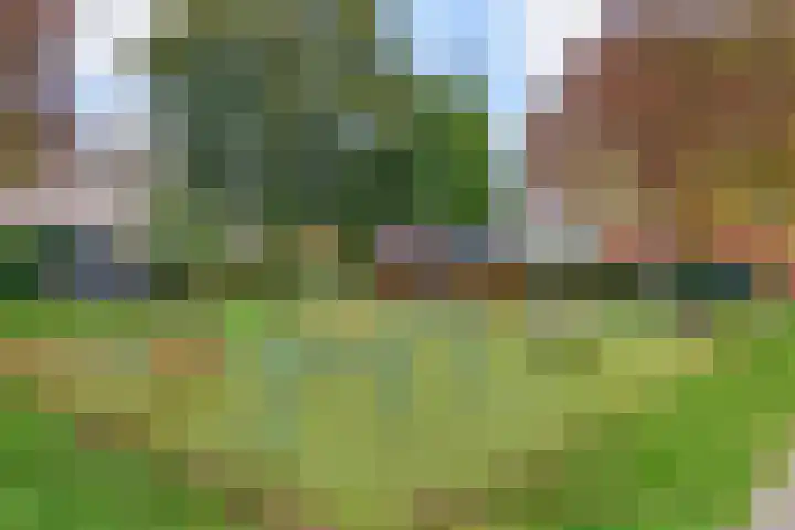 Koningshof 4 Vleuten thumbnail 28