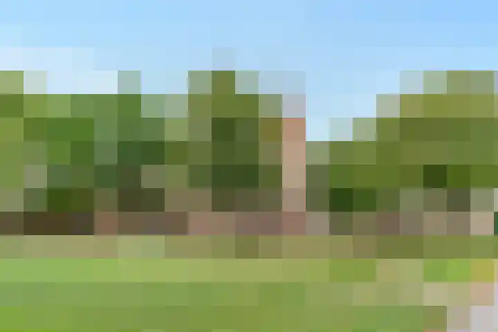 Koningshof 4 Vleuten thumbnail 30