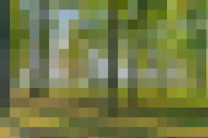Koningshof 4 Vleuten thumbnail 32