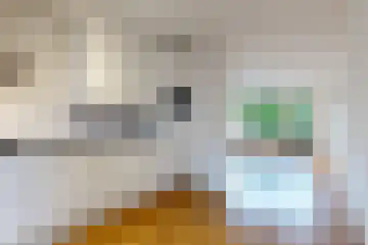 Koningshof 4 Vleuten thumbnail 4
