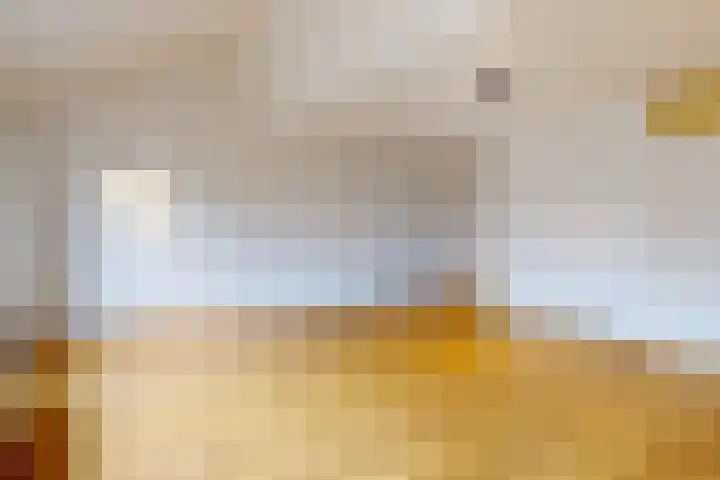 Koningshof 4 Vleuten thumbnail 8