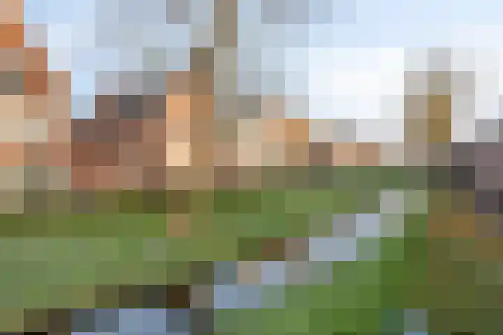 Koningshof 43 IJsselstein thumbnail 45