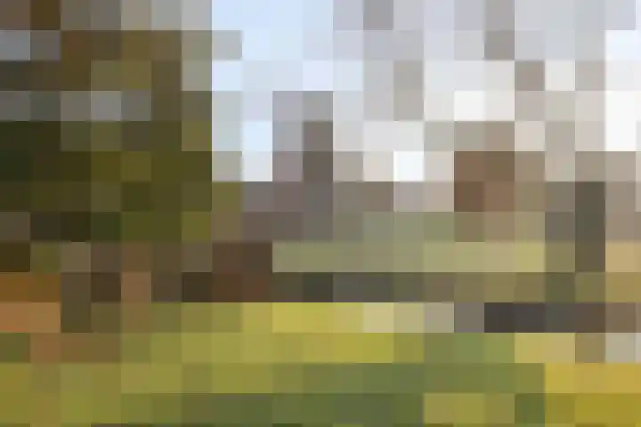 Koningshof 43 IJsselstein thumbnail 46