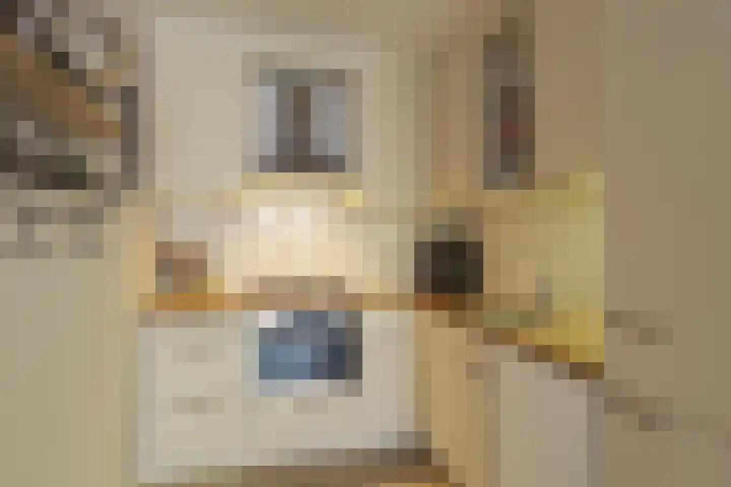 Koningshof 51 Ridderkerk thumbnail 18