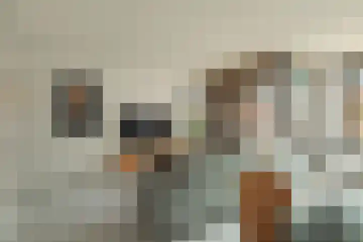 Koningshof 69 Ridderkerk thumbnail 11