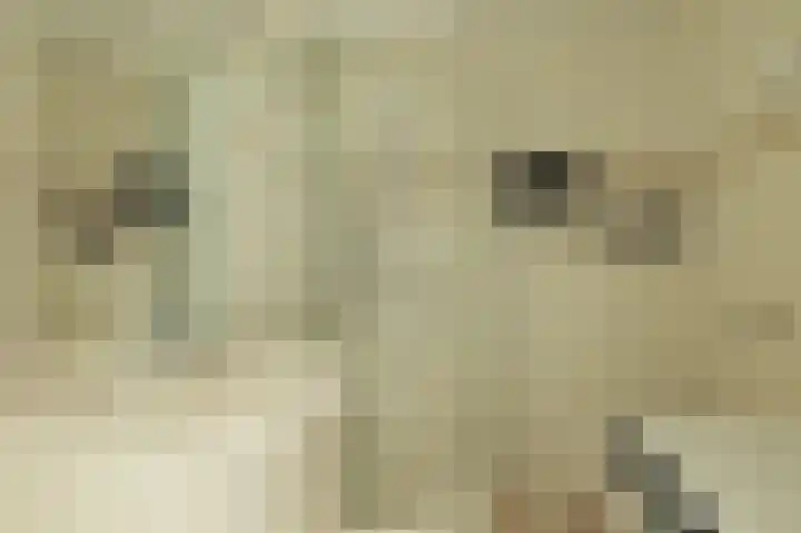 Koningshof 69 Ridderkerk thumbnail 18