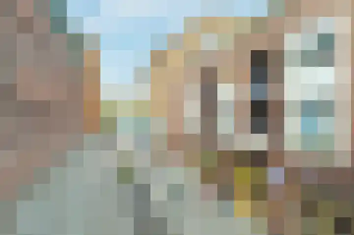 Koningshof 69 Ridderkerk thumbnail 24