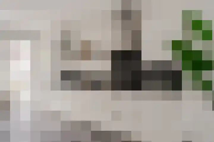 Koningshof 69 Ridderkerk thumbnail 28