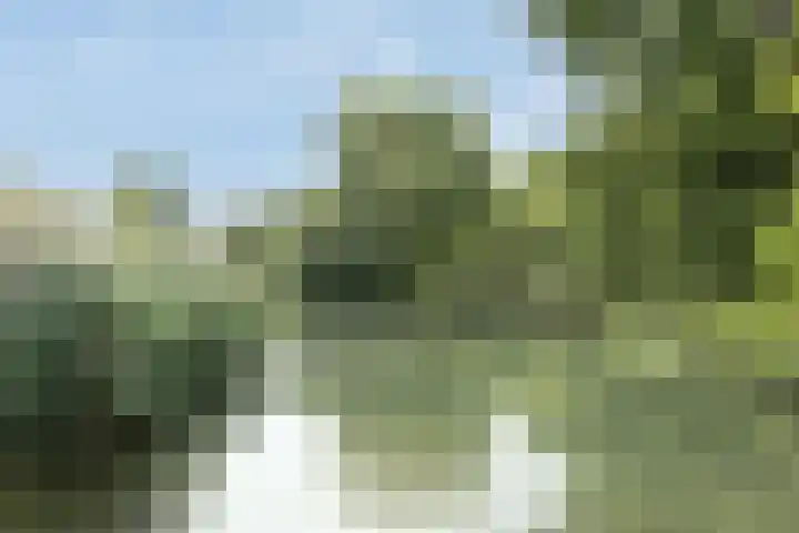 Koningshof 69 Ridderkerk thumbnail 28