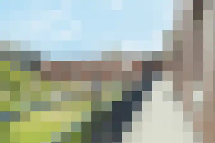 Koningshof 69 Ridderkerk thumbnail 7