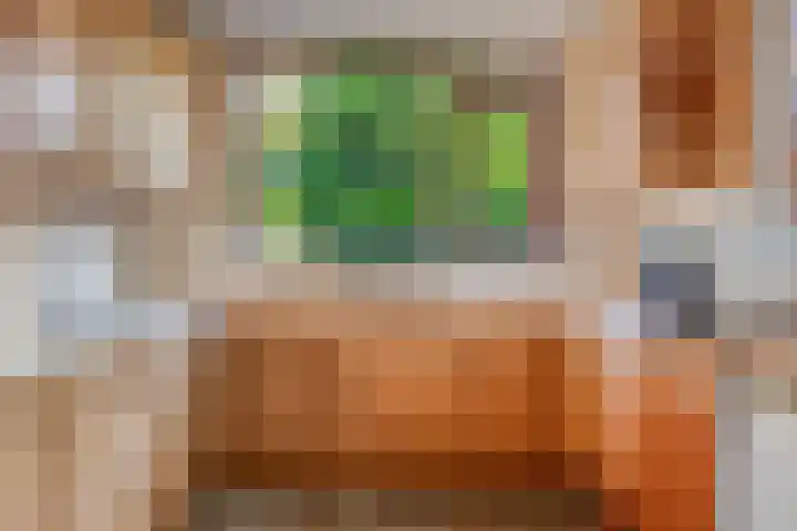 Koningshof 72 Pijnacker thumbnail 17