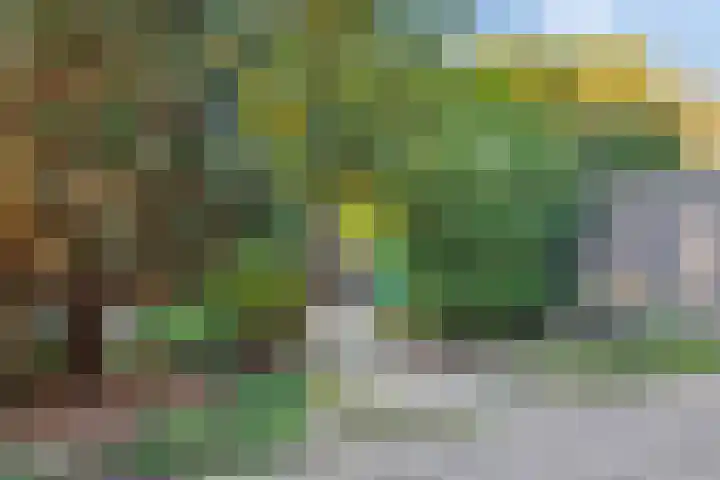 Koningshof 72 Pijnacker thumbnail 19