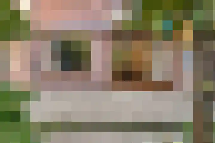Koningshof 72 Pijnacker thumbnail 20