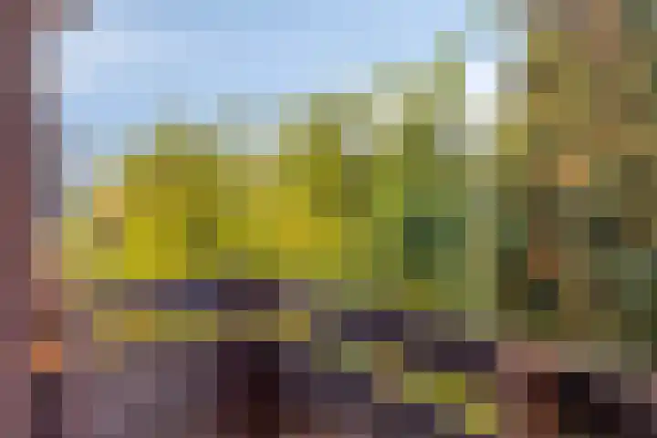 Koningshof 72 Pijnacker thumbnail 26