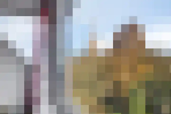 Koningshof 72 Pijnacker thumbnail 37