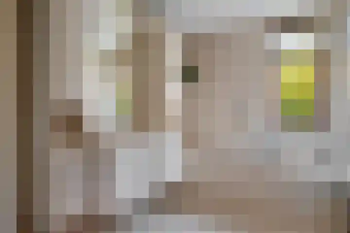 Koningshof 72 Pijnacker thumbnail 4