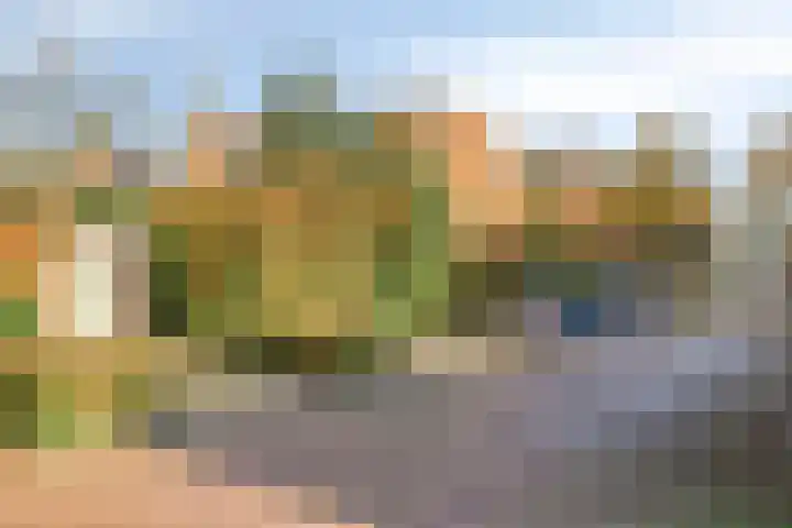 Koningshof 72 Pijnacker thumbnail 40