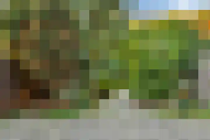 Koningshof 72 Pijnacker thumbnail 5
