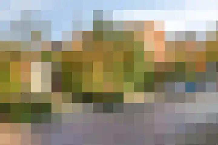 Koningshof 72 Pijnacker thumbnail 6