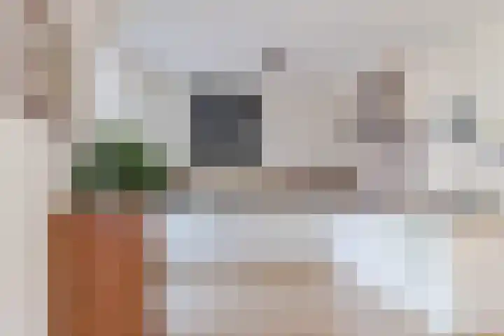 Koningshof 73 Harmelen thumbnail 16