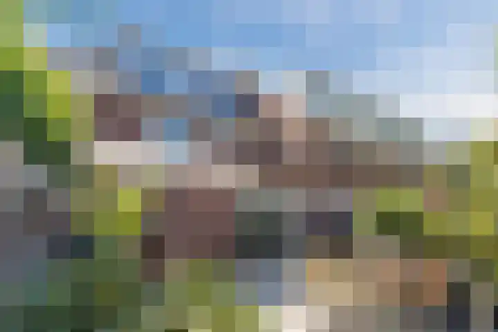 Koningshof 73 Harmelen thumbnail 51