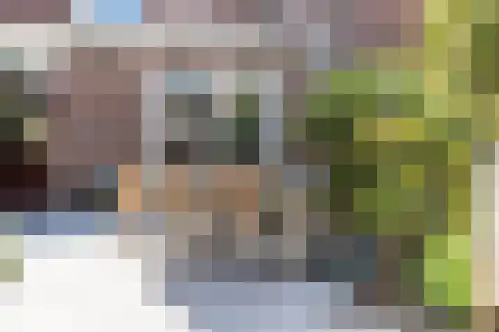 Koningshof 73 Harmelen thumbnail 53