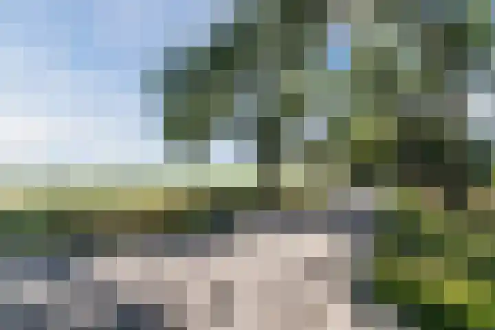 Koningshof 73 Harmelen thumbnail 60