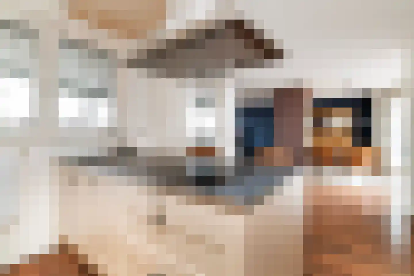 Koningshof 81 Ridderkerk thumbnail 20