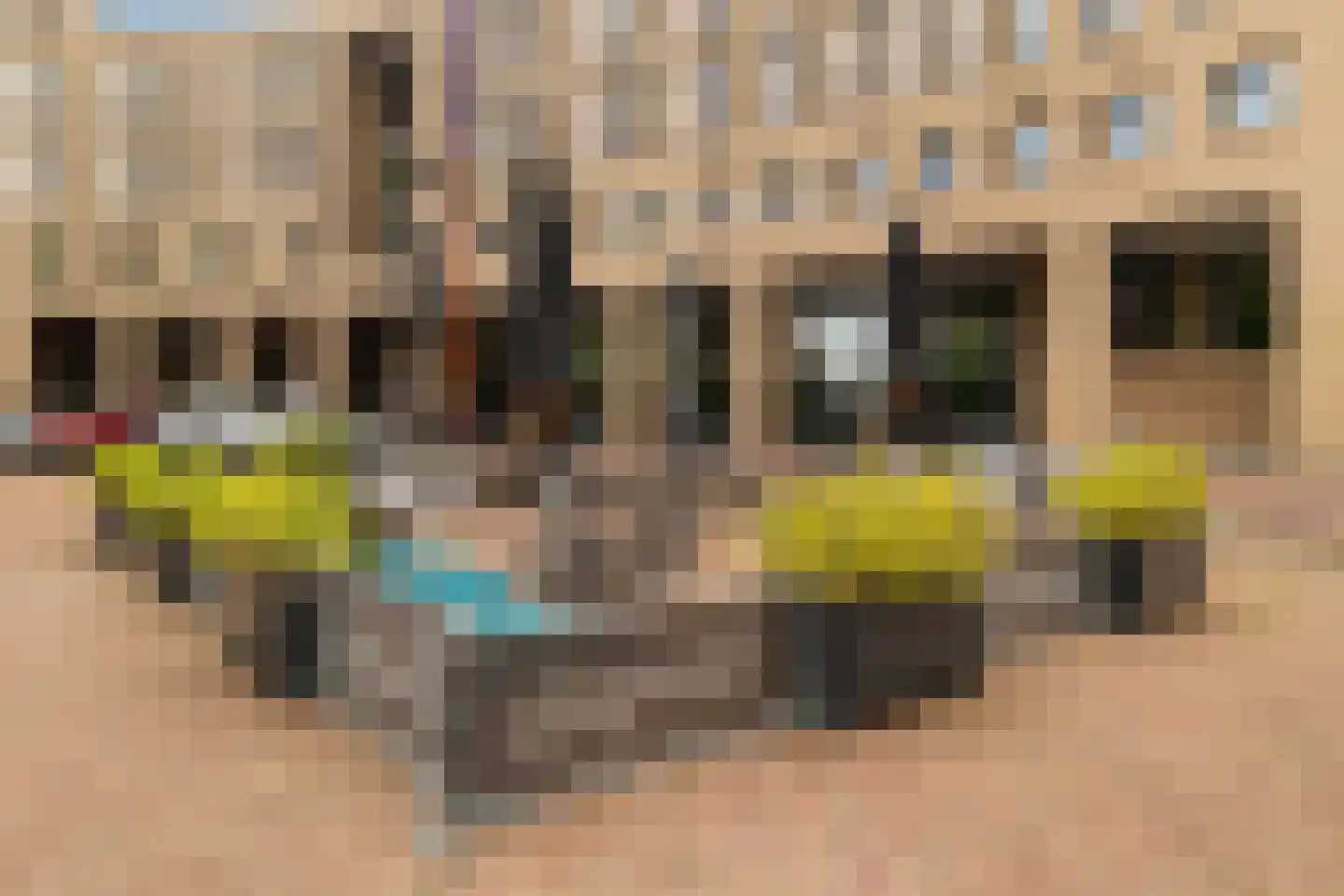 Koningshof 81 Ridderkerk thumbnail 51