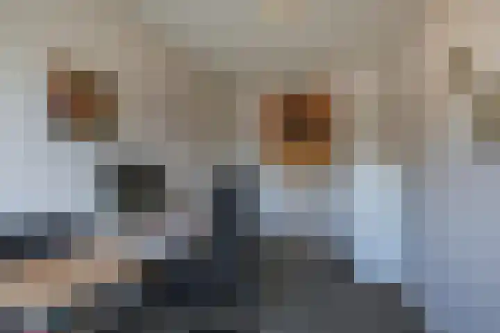 Koningshof 9 Hoevelaken thumbnail 25