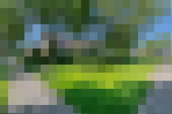 Koningshof 9 Hoevelaken thumbnail 44