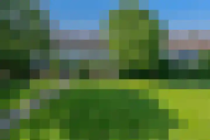 Koningshof 9 Hoevelaken thumbnail 45