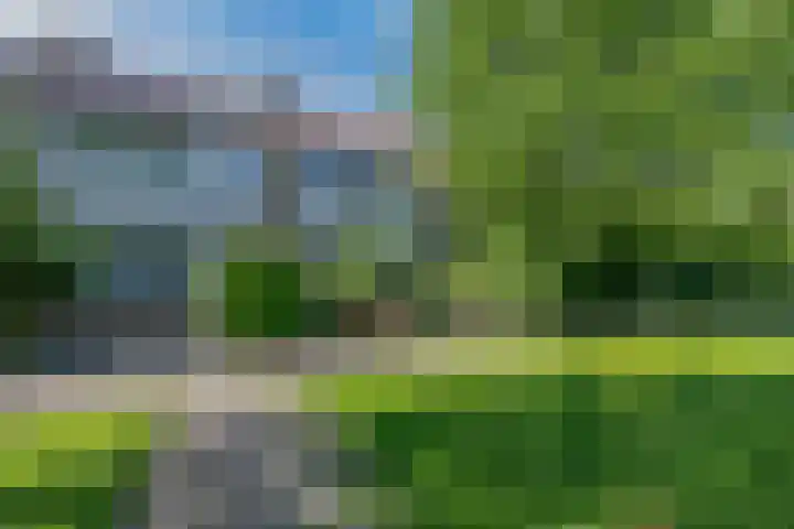 Koningshof 9 Hoevelaken thumbnail 46