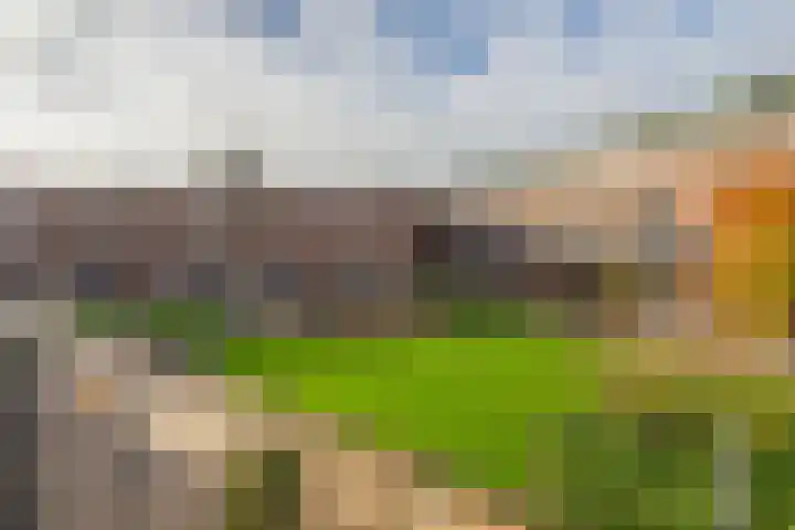 Koningshof 9 Ridderkerk thumbnail 41