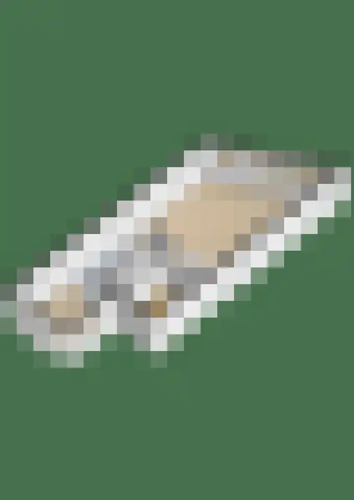 Koningshof 9 Ridderkerk thumbnail 43