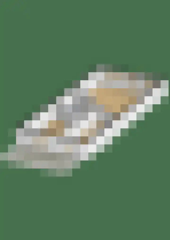 Koningshof 9 Ridderkerk thumbnail 49