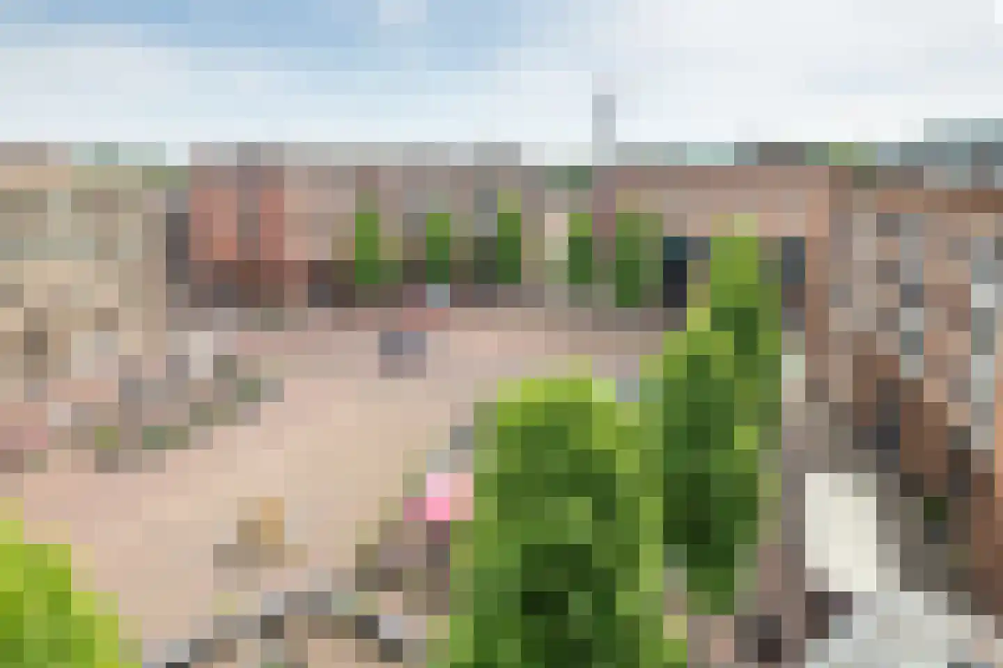 Koningshof 94 Ridderkerk thumbnail 9