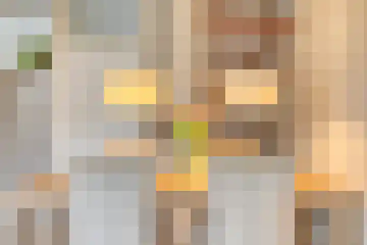 Koningsholster 74 Beek thumbnail 14